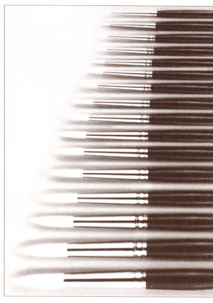 ab705rndshortbrushes.jpg