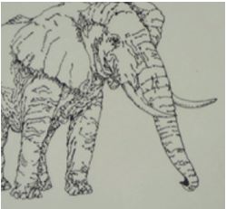 ttelephant2.JPG